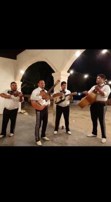 Saucillo Other | Rancho San Esteban Eventos