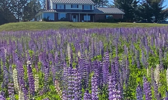 Rangeley House | Rangeley Golf Course House, Lake Access, Close to downtown
