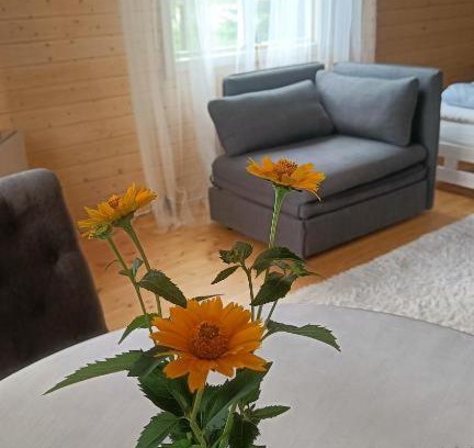 Hiiu House | Rangipuhkemaja hiiumaakond