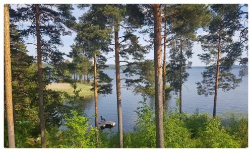 Jamsa House | RANTATALO ONNELAN LUMO 12 hlöä- 220m2 Himos 10min autolla