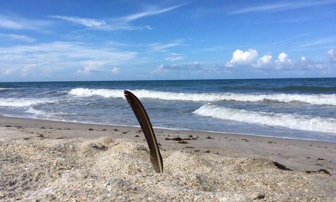 Vero Beach House | Rare experience at Old Florida mid-century seaside estate