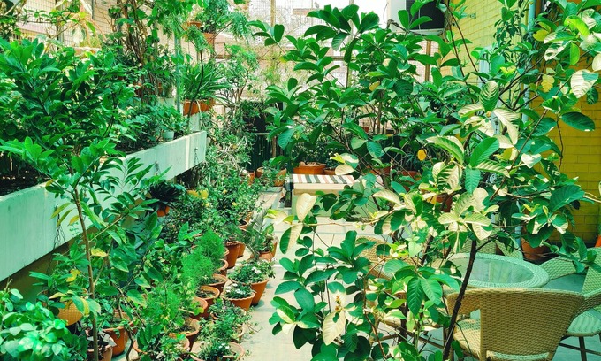 Varanasi Hotel | Ratnakar Bhawan - Heritage Homestay