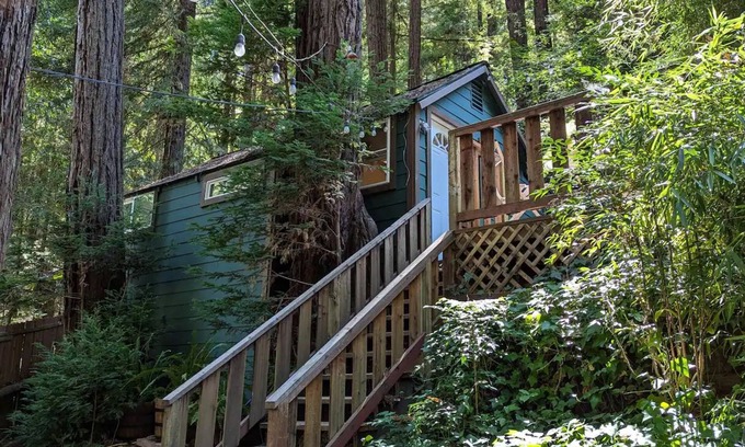Guerneville Cottage | Redwood Treehouse-2 beds 1.5 bath-full kitchen-2 outdoor areas-work station WiFi