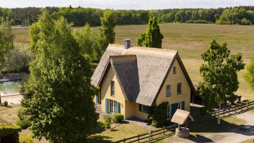 Krienke House | Reetdachhaus Kranich mit Schwimmteich in Krienke