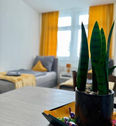 Magdeburg House | Reform