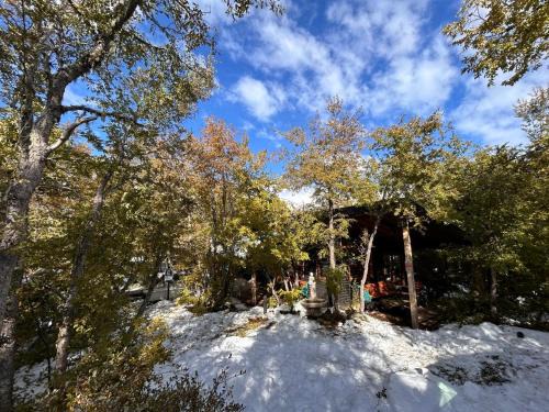 Pinto House | Refugio Nativo