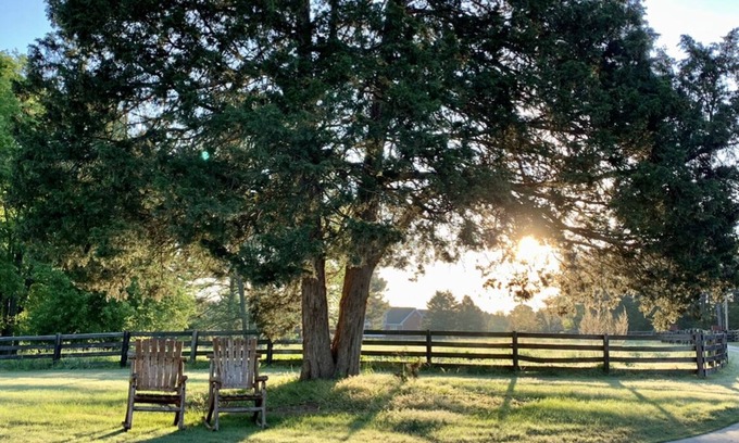 Oxford Apartment | Regal Ranch Retreat *DOG & HORSE FRIENDLY*
