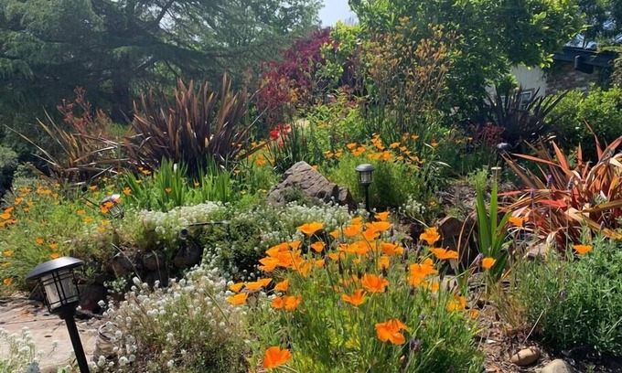 Santa Cruz House | Relax in a Landscaped Paradise w/4Bdr Home, Amazing Santa Cruz Landscaped paradise