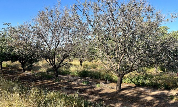 Merced County House | Relax on 475 acre scenic ranch, 4-Bed/BR, Surrounded by Nature, 1.5hr -Yosemite.