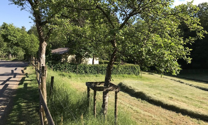 Eifel House | Relaxation and nature in the middle of the volcanic Eifel