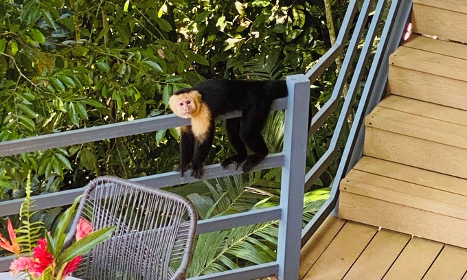 Ojochal Bed & Breakfast | Relaxed, unplugged, Costa Rican-style comfort with a beach access n