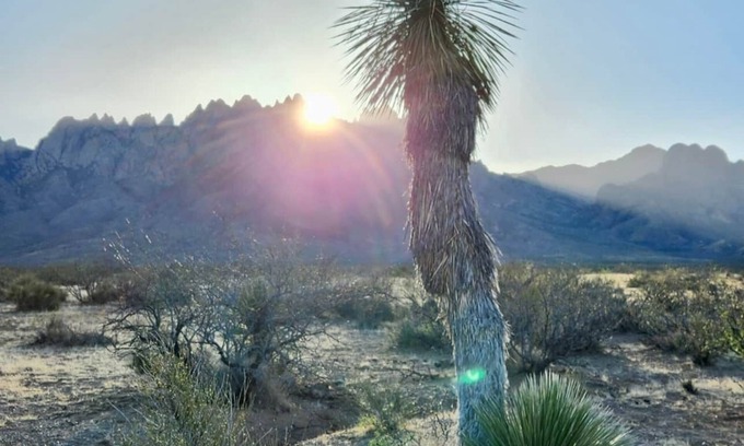 Las Cruces House | Relaxed Valley Living