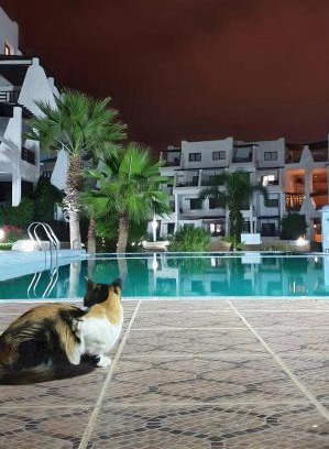 Cabo Negro Apartment | Remanso de Paz Cabonegro