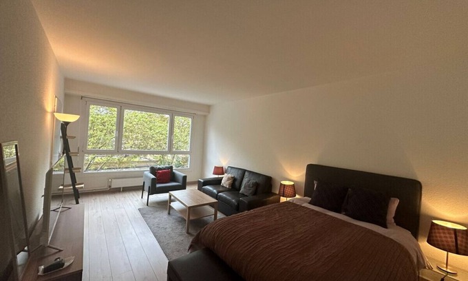 Les Charmilles Apartment | Renovated Suite Geneva City Center