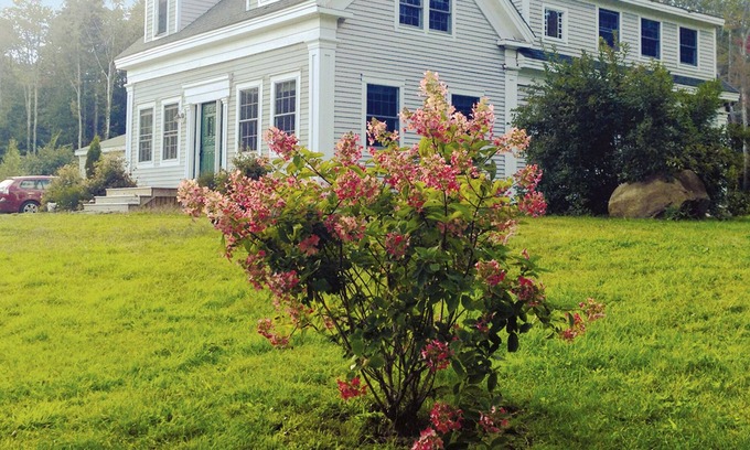 Chebeague Island House | Renovated, Sunny 1850's Island Farmhouse