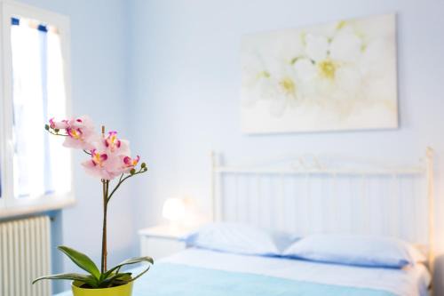 Miramare Apartment | Residence Kimba