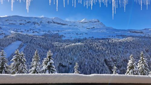 Flaine Apartment | Residence les Pleiades