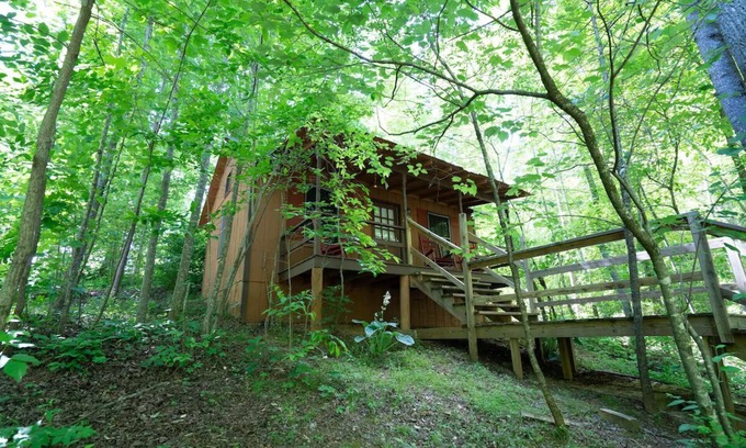 Blairsville Cabin | Retreat to Pet-Friendly Cabin near Helen, Blue Ridge & Appalachian Trail!