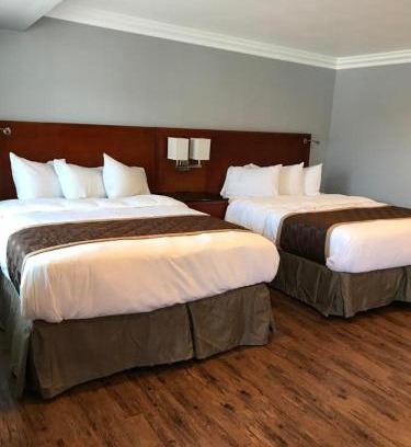 Ventura Hotel | Rex Motel