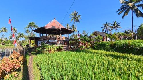 Tetebatu House | Rice Field inn - Lombok
