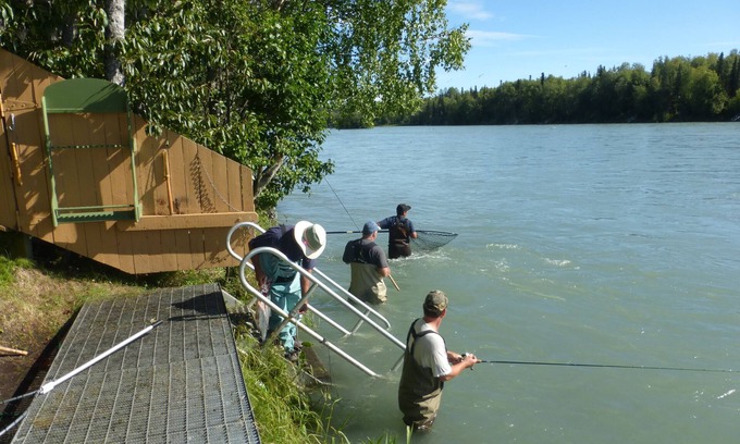 Soldotna Condo | Right on the Kenai River! Comfortable condo great for fishing or sightseeing