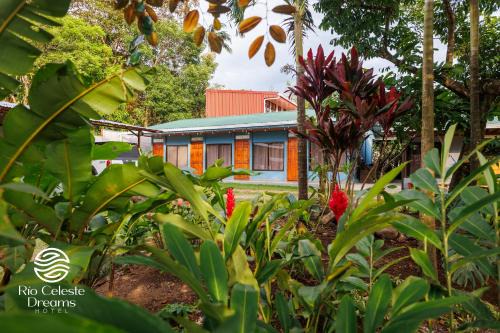 Bijagua Apartment | Rio Celeste Dreams