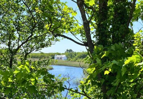 Ballinaboy House | River Cottage, Clifden