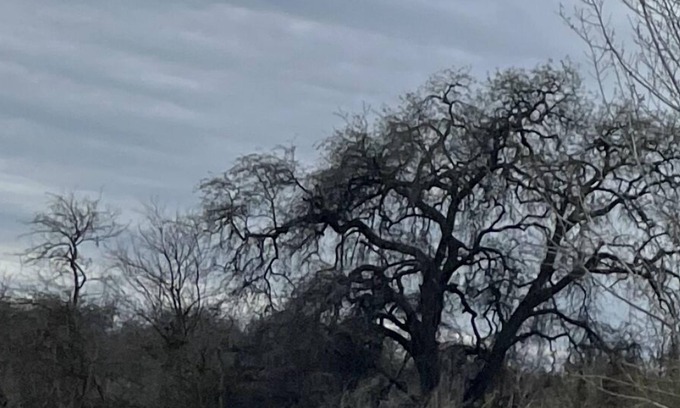 Raisin House | River country home- near Kingsburg