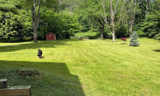 White Mills House | Riverfront Cabin Retreat on the Delaware, 5 mins from Narrowsburg, 2hrs from NYC