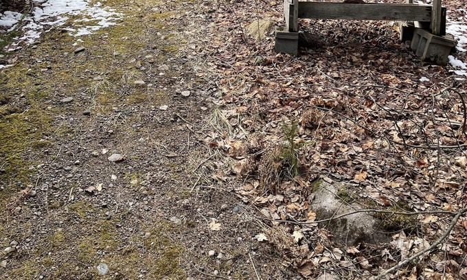 Mountain Cottage | Riverfront Cottage on ATV and Snowmobile trail, pet friendly.