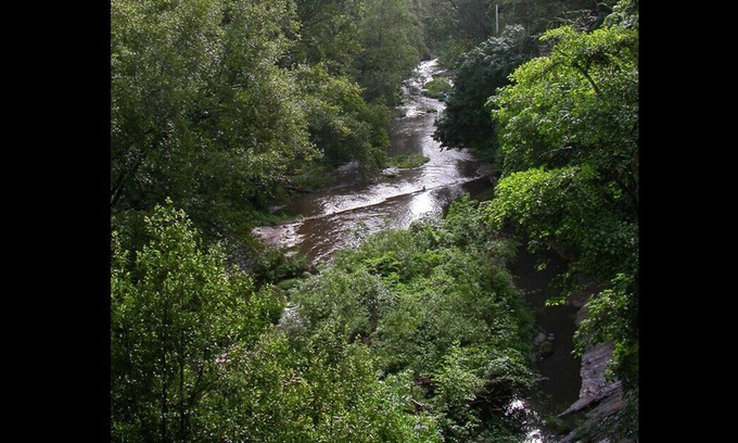 Ben Lomond Apartment | RiverFront TREEHOUSE Inspiring Rental Ancient REDWOODS AMAZING VIEWS!!