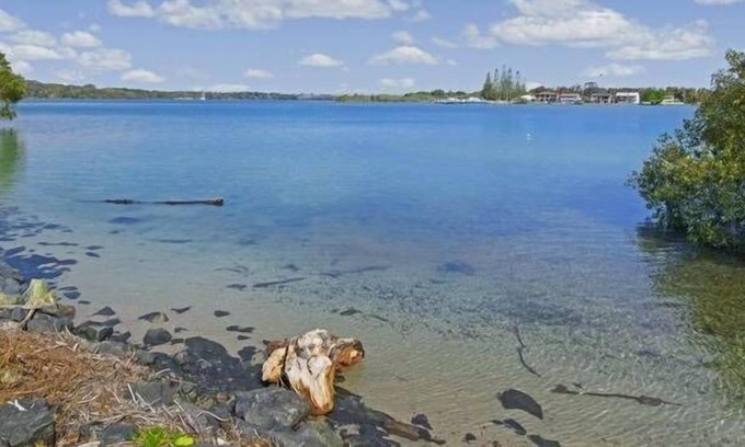 North Shore House | Riverview Cottage - Water Frontage - Family & Group centric!