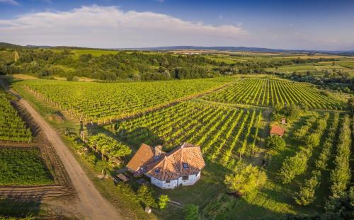 Kutjevo Villa | Robinson Vila Kitokret