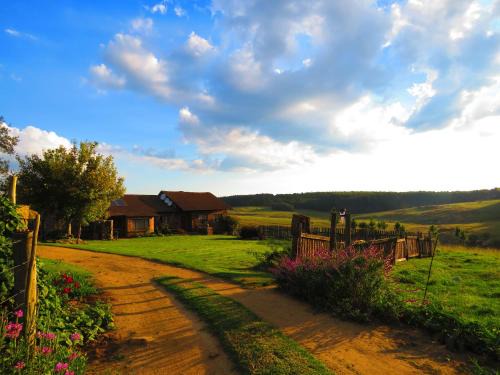 Albert Luthuli House | Rocks & Roses Farm stay