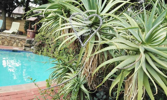 Constantia Kloof Apartment | Rocky Ridge Guest House SELF Catering - No alcohol allowed
