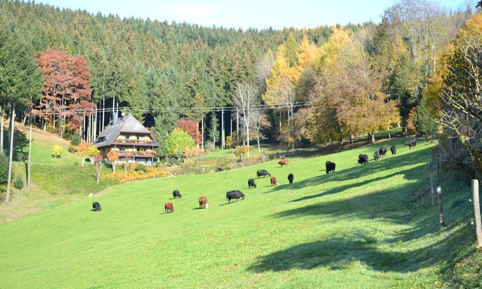 Oberwolfach Apartment | Rohrhardsberg, 75qm, zwei Schlafzimmer, max. 6 Personen