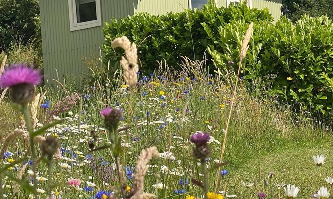 Matlock Cabin | Romantic Shepherd hut with private hot tub over looking breathtaking views