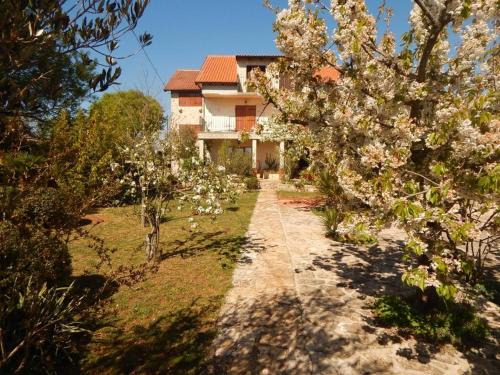 Goris House | Rooms Goriš