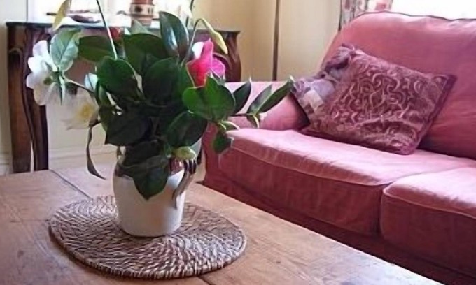 Castallack Cottage | Rosemerryn Cottage, Beautiful Lamorna Valley, Between Penzance And Land's End.