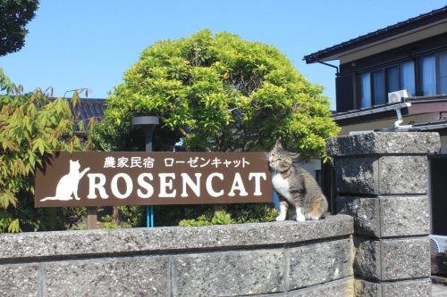 Sado House | Rosencat