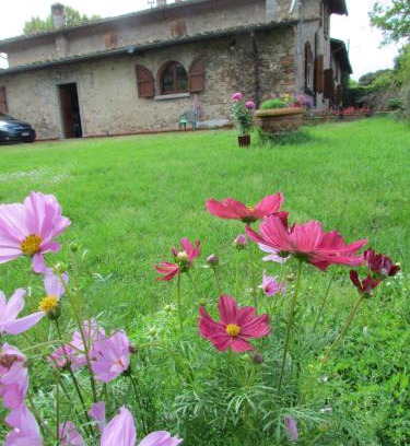 Borgo San Lorenzo House | Rosso Papavero Home