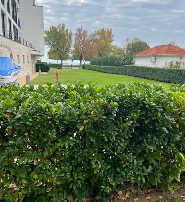 Csopak Apartment | Royal Apartman am See