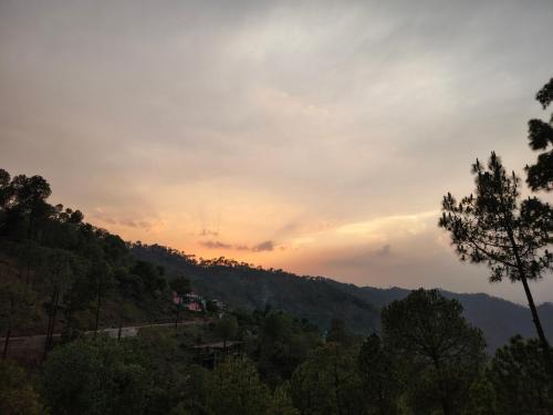 Kumarhatti Hotel | Royal Green Valley Kasauli