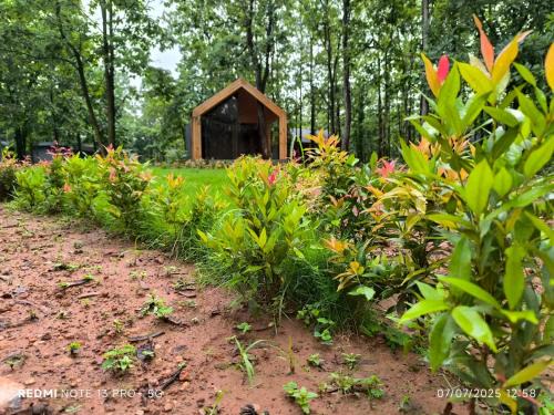 Jhargram Cabin | Royal Villa Resort
