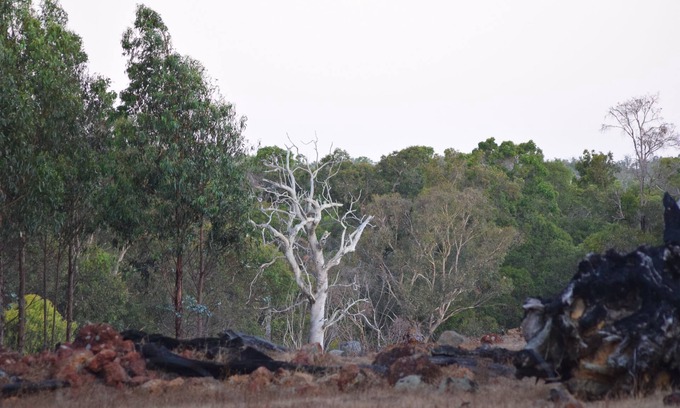 Acton Park Other | Rural retreat set on 100 acres nestled agaisnt the Whicher Range National Park