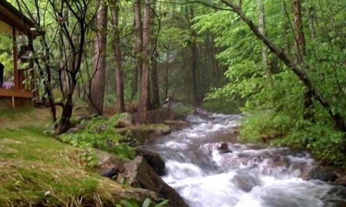 Hayesville Cabin | Rushing Waters Cabin - Feet from rushing creek. Book Summer now.