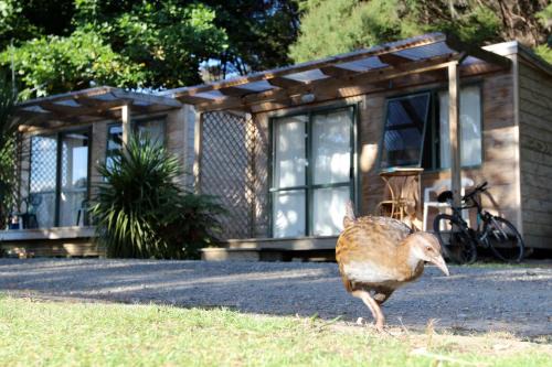 Russell Resort | Russell-Orongo Bay Holiday Park