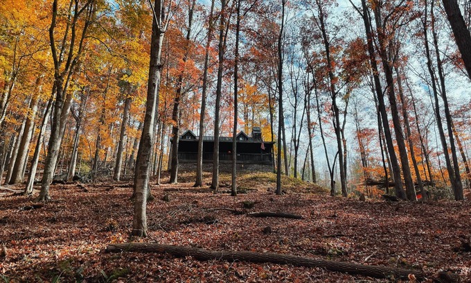 Dahlonega Cabin | Rustic Appalachian cabin, 6+ acres, creek, 5 min from Dahlonega & wineries
