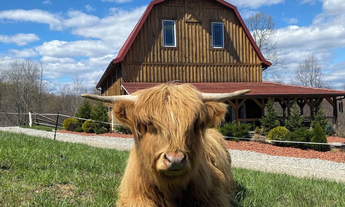 McArthur House | Rustic Barn Cabin on Highland Cow Farm: Hiking Trails, Hot Tub and Pool Table