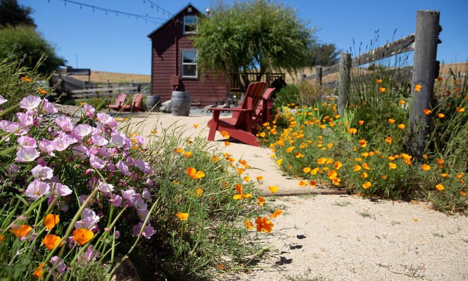 Petaluma Cabin | Rustic Cabin on Organic Cattle Ranch